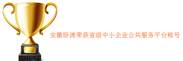 安徽臥濤獲省中小企業(yè)公共服務示范平臺服務機構榮譽資質